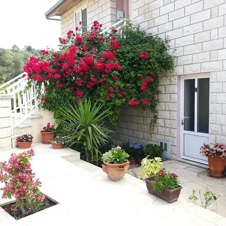 Pecotic Apartman Brna